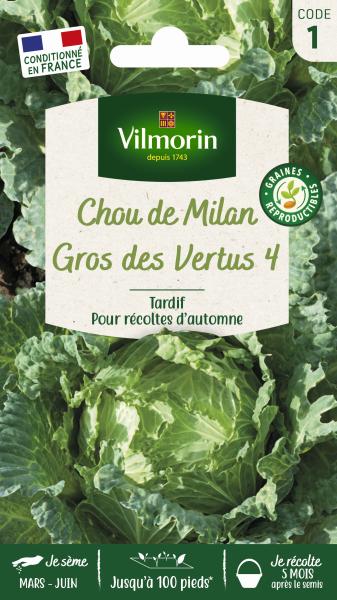 Potagères - Chou de Milan Gros des Vertus - PACKAGING_RECTO